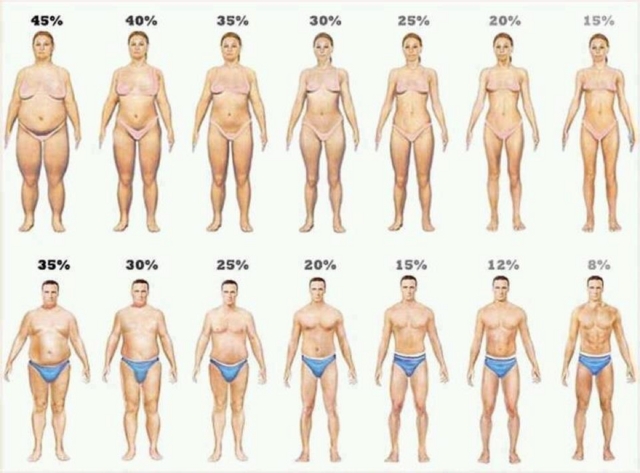 気にするべきは体重よりも体脂肪。