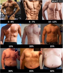 あなたの体脂肪率はどれ？～筋トレのイメージトレーニング～